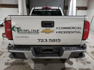 2015 Chevrolet Colorado 4WD WT with VIN 1GCHTAE30F1264244, listed as a Copart auction lot 41561075 with Not Provided miles and Salvage Title. Bid and sale history available at DreamBid. Image 6.
