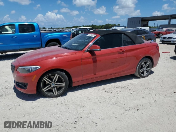 2017 BMW 2 Series 230i with VIN WBA2K9C52HV647199, listed as a Copart auction lot 61074605 with 53,876 mi miles and Salvage title. Bid and sale history available at DreamBid. Image 1.