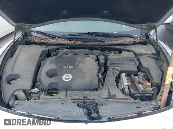 2013 Nissan Maxima SV with VIN 1N4AA5AP1DC841233, listed as a IAAI auction lot 41918995 with 176,003 mi miles and . Bid and sale history available at DreamBid. Image 10.