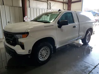 2023 Chevrolet Silverado 1500 Work Truck with VIN 3GCNAAEK5PG346635, listed as a Copart auction lot 48968735 with 102,241 mi miles and Clean Title. Bid and sale history available at carsss.com. Image 1.