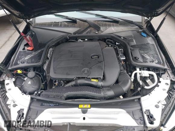 2019 Mercedes-Benz C 300 with VIN 55SWF8DBXKU303017, listed as a IAAI auction lot 41841700 with Not Provided miles and . Bid and sale history available at DreamBid. Image 10.