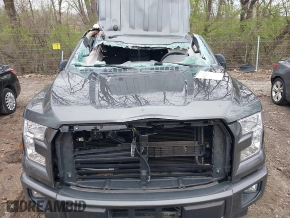 2017 Ford F-150 XL with VIN 1FTEW1EG0HFB78127, listed as a IAAI auction lot 41921032 with Not Provided miles. Bid and sale history available at carsss.com. Image 17.
