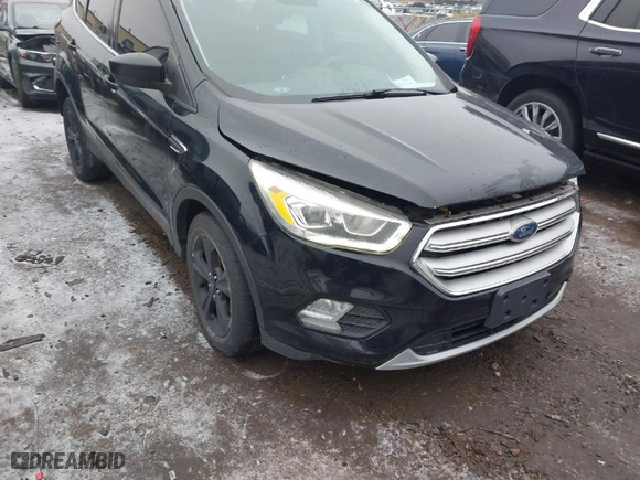 2017 Ford Escape SE with VIN 1FMCU0GD8HUE27467, listed as a IAAI auction lot 41185108 with 170,095 mi miles. Bid and sale history available at carsss.com. Image 1.