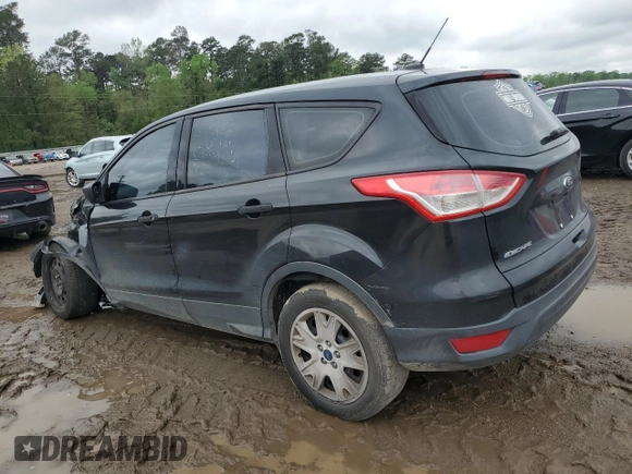 2014 Ford Escape S with VIN 1FMCU0F70EUD22476, listed as a Copart auction lot 51124645 with 189,380 mi miles and Salvage Title. Bid and sale history available at carsss.com. Image 2.