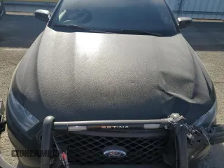 2013 Ford Police Interceptor with VIN 1FAHP2M81DG143522, listed as a Copart auction lot 51243995 with 303,703 mi miles and Salvage title. Bid and sale history available at DreamBid. Image 11.