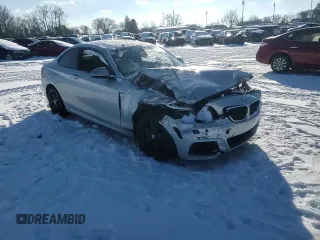 2016 BMW 2 Series M235i xDrive with VIN WBA1J9C50GV372199, listed as a Copart auction lot 87229084 with 0 mi miles and Salvage Title. Bid and sale history available at carsss.com. Image 11.