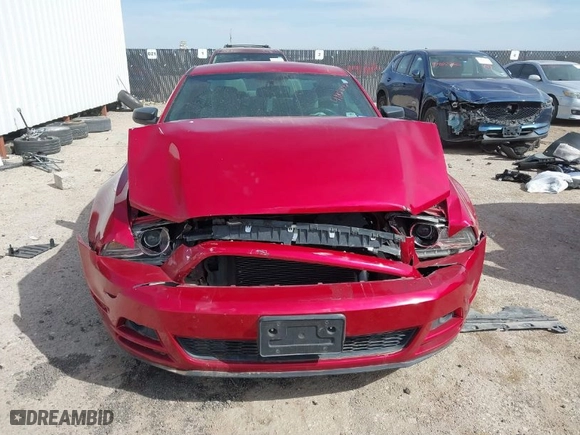 2013 Ford Mustang V6 with VIN 1ZVBP8AM9D5254770, listed as a IAAI auction lot 41828023 with 97,926 mi miles. Bid and sale history available at carsss.com. Image 12.