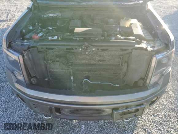 2009 Ford F-150 XL with VIN 1FTPW14V39FB05831, listed as a Copart auction lot 85943924 with 133,893 mi miles and Salvage title. Bid and sale history available at DreamBid. Image 12.