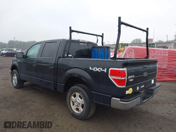 2010 Ford F-150 XL with VIN 1FTEW1E84AFA54957, listed as a IAAI auction lot 42456388 with 197,370 mi miles and . Bid and sale history available at DreamBid. Image 19.
