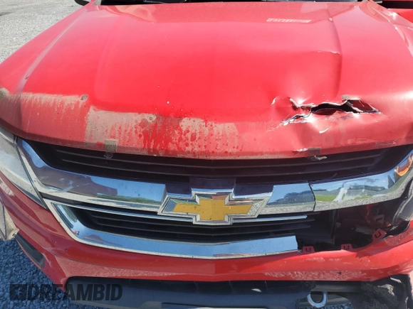 2017 Chevrolet Colorado 4WD WT with VIN 1GCGTBENXH1177831, listed as a Copart auction lot 61411185 with 105,618 mi miles and Salvage title. Bid and sale history available at DreamBid. Image 11.