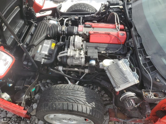 1994 Chevrolet Corvette with VIN 1G1YY22P1R5117824, listed as a Copart auction lot 42598895 with 47,882 mi miles and Salvage Title. Bid and sale history available at carsss.com. Image 11.