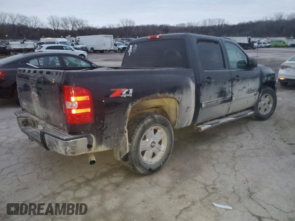 2009 Chevrolet Silverado 1500 LT with VIN 3GCEK23319G196489, listed as a Copart auction lot 87068324 with Not Provided miles and Salvage Title. Bid and sale history available at DreamBid. Image 3.
