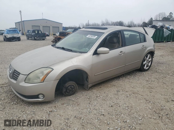 2005 Nissan Maxima 3.5 SE with VIN 1N4BA41E85C841518, listed as a Copart auction lot 48256535 with 226,023 mi miles and Salvage Title. Bid and sale history available at carsss.com. Image 1.