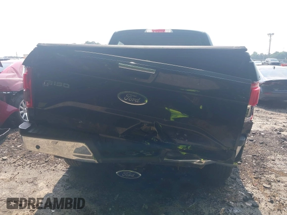 2016 Ford F-150 XLT with VIN 1FTEW1EG9GFD57846, listed as a IAAI auction lot 42393903 with 66,484 mi miles and . Bid and sale history available at DreamBid. Image 16.