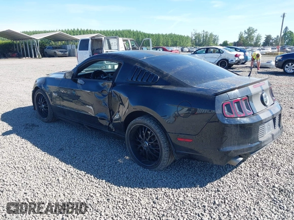 2014 Ford Mustang GT with VIN 1ZVBP8CF5E5201080, listed as a IAAI auction lot 42191392 with 42,701 mi miles and . Bid and sale history available at DreamBid. Image 3.