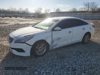 2017 Hyundai Sonata 2.4L with VIN 5NPE24AF8HH561099, listed as a Copart auction lot 48686215 with 124,523 mi miles and Salvage Title. Bid and sale history available at carsss.com. Image 1.