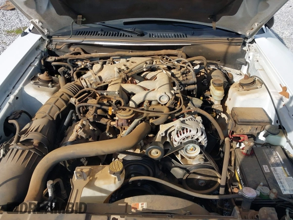 2004 Ford Mustang Deluxe with VIN 1FAFP446X4F178292, listed as a IAAI auction lot 41508958 with 48,261 mi miles. Bid and sale history available at carsss.com. Image 10.