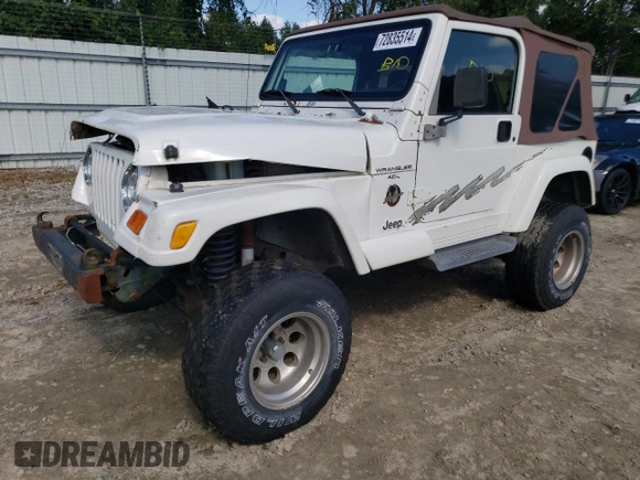 2001 Jeep Wrangler Sahara with VIN 1J4FA59SX1P338887, listed as a Copart auction lot 72835514 with 0 mi miles and Salvage Title. Bid and sale history available at carsss.com. Image 1.
