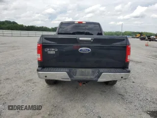 2017 Ford F-150 XL with VIN 1FTEX1EP8HFA43975, listed as a Copart auction lot 58847945 with 136,569 mi miles and Salvage title. Bid and sale history available at DreamBid. Image 6.