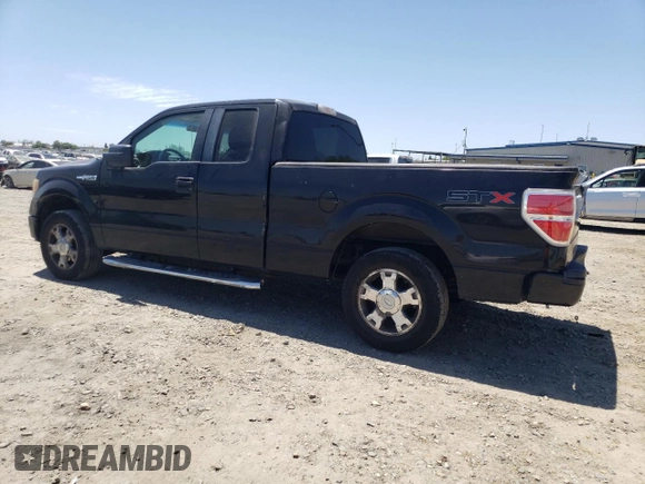 2010 Ford F-150 XL with VIN 1FTEX1CW5AKE07504, listed as a Copart auction lot 61187575 with 176,296 mi miles and Salvage title. Bid and sale history available at DreamBid. Image 2.