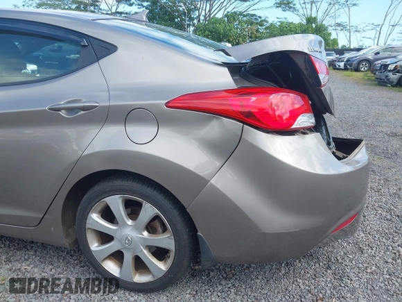 2013 Hyundai Elantra Limited with VIN 5NPDH4AE7DH419645, listed as a IAAI auction lot 41538041 with 53,935 mi miles and . Bid and sale history available at DreamBid. Image 20.