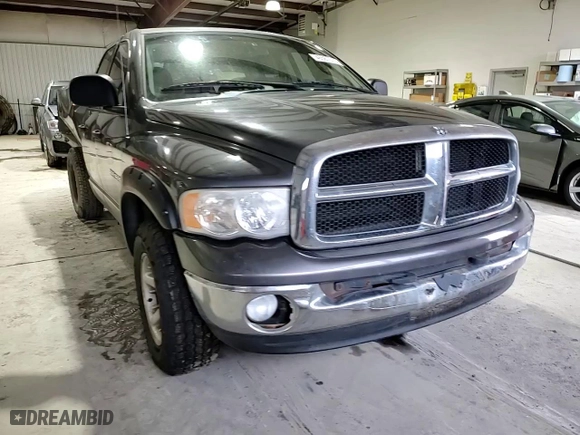 2004 Dodge Ram 1500 SLT with VIN 1D7HU18D74S656524, listed as a Copart auction lot 46587015 with 93,630 mi miles and Salvage Title. Bid and sale history available at carsss.com. Image 11.