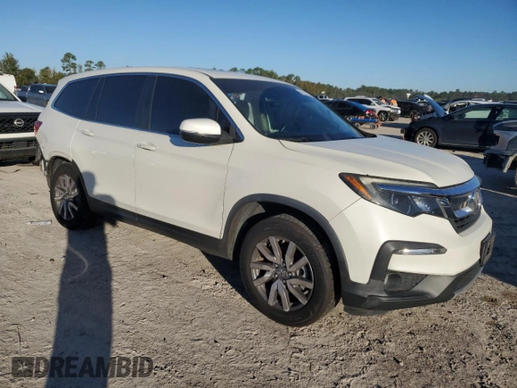 2019 Honda Pilot EX-L with VIN 5FNYF5H40KB019724, listed as a Copart auction lot 81987244 with 117,406 mi miles and Salvage title. Bid and sale history available at DreamBid. Image 4.