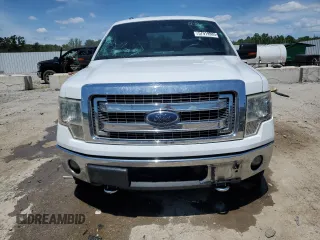 2013 Ford F-150 XL with VIN 1FTFW1EF8DFA22715, listed as a Copart auction lot 57919985 with 243,124 mi miles and Salvage title. Bid and sale history available at DreamBid. Image 5.