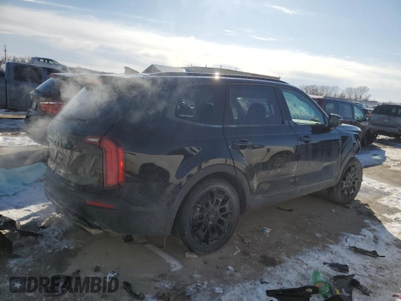 2022 Kia Telluride SX with VIN 5XYP5DHC9NG281139, listed as a Copart auction lot 46356935 with 39,593 mi miles and Salvage Title. Bid and sale history available at carsss.com. Image 3.