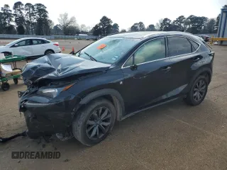 2017 Lexus NX with VIN JTJYARBZ6H2066520, listed as a Copart auction lot 49234295 with 0 mi miles and Salvage Title. Bid and sale history available at carsss.com. Image 1.