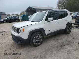 2016 Jeep Renegade Limited with VIN ZACCJADT0GPD94205, listed as a Copart auction lot 50007355 with 42,009 mi miles and Salvage Title. Bid and sale history available at DreamBid. Image 1.