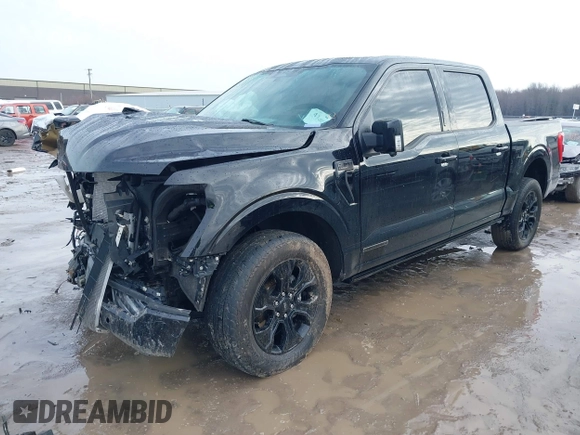 2023 Ford F-150 XL with VIN 1FTFW1EDXPFA92459, listed as a IAAI auction lot 41480300 with 36,786 mi miles. Bid and sale history available at carsss.com. Image 2.