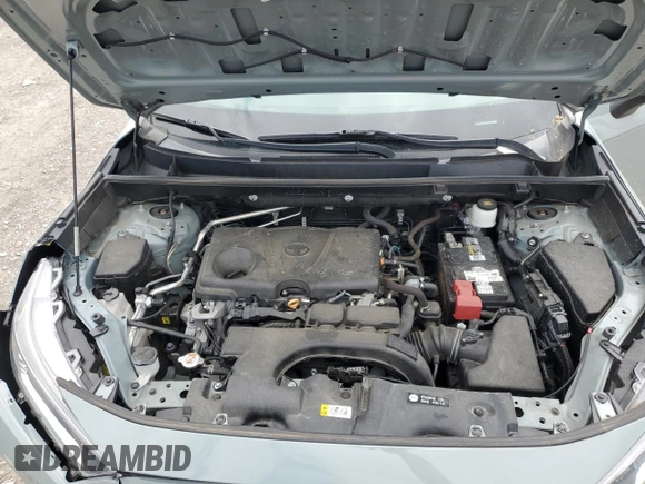 2019 Toyota RAV4 XLE with VIN 2T3W1RFV1KW051326, listed as a Copart auction lot 51323625 with 67,031 mi miles and Salvage Title. Bid and sale history available at DreamBid. Image 13.