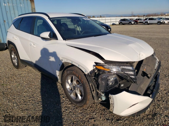 2024 Hyundai Tucson SEL with VIN 5NMJB3DE9RH296574, listed as a Copart auction lot 41799845 with 40,596 mi miles and Clean Title. Bid and sale history available at DreamBid. Image 4.