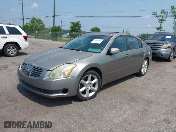 2006 Nissan Maxima SE with VIN 1N4BA41E56C805187, listed as a IAAI auction lot 42410242 with Not provided miles and . Bid and sale history available at DreamBid. Image 2.