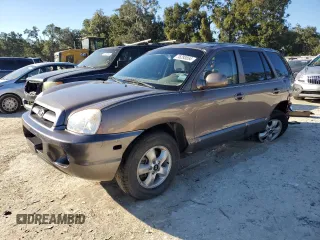 2005 Hyundai Santa Fe GLS with VIN KM8SC13D35U955102, listed as a Copart auction lot 76293854 with 107,406 mi miles and Salvage Title. Bid and sale history available at carsss.com. Image 1.