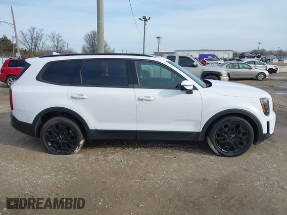 2022 Kia Telluride EX with VIN 5XYP3DHC3NG204367, listed as a IAAI auction lot 41850949 with 87,394 mi miles and . Bid and sale history available at carsss.com. Image 14.