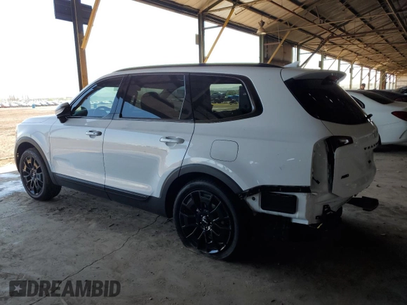 2022 Kia Telluride SX with VIN 5XYP5DHC4NG289407, listed as a Copart auction lot 52576465 with 27,139 mi miles and Salvage Title. Bid and sale history available at DreamBid. Image 2.
