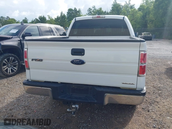 2013 Ford F-150 XL with VIN 1FTFW1EF1DKF98847, listed as a IAAI auction lot 42157305 with 203,154 mi miles and . Bid and sale history available at DreamBid. Image 16.