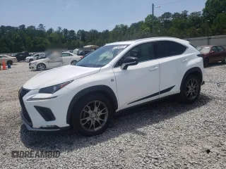 2019 Lexus NX 300 with VIN JTJYARBZ2K2150972, listed as a Copart auction lot 57339015 with 87,280 mi miles and Salvage title. Bid and sale history available at DreamBid. Image 1.