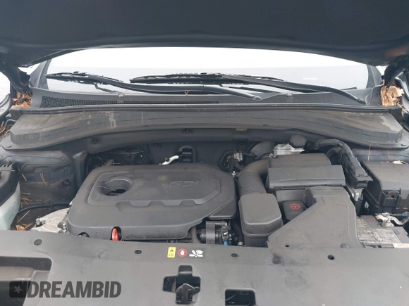 2020 Hyundai Santa Fe SE with VIN 5NMS2CAD8LH258275, listed as a IAAI auction lot 41912687 with 80,467 mi miles and . Bid and sale history available at DreamBid. Image 10.