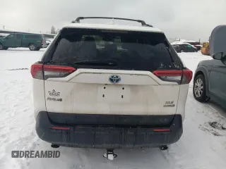 2019 Toyota RAV4 Hybrid XLE with VIN JTMRWRFV8KD004029, listed as a Copart auction lot 48261625 with 0 mi miles and Salvage Title. Bid and sale history available at carsss.com. Image 6.