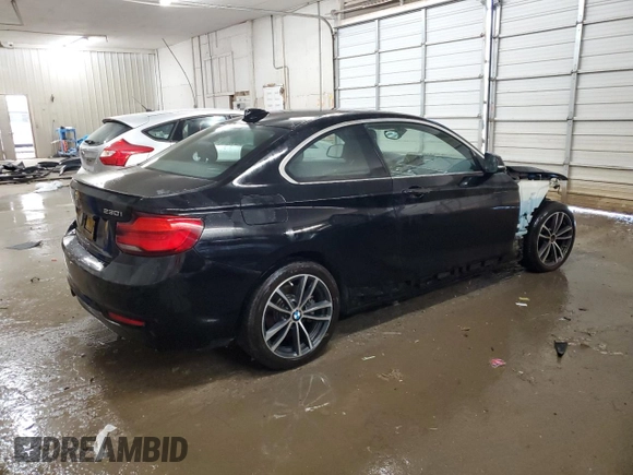 2018 BMW 2 Series 230i xDrive with VIN WBA2J3C52JVD48613, listed as a Copart auction lot 55119525 with 88,523 mi miles and Salvage title. Bid and sale history available at DreamBid. Image 3.