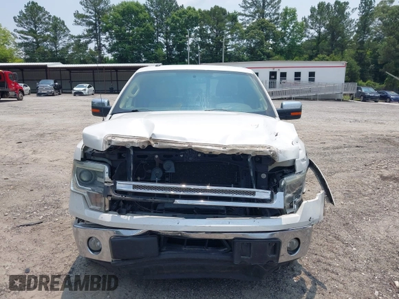 2014 Ford F-150 XL with VIN 1FTFW1CT9EFC83958, listed as a IAAI auction lot 42406555 with 308,076 mi miles and . Bid and sale history available at DreamBid. Image 12.