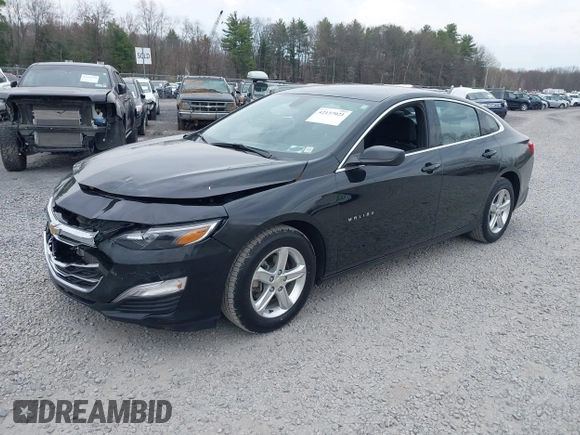 2022 Chevrolet Malibu LS with VIN 1G1ZB5ST2NF213650, listed as a IAAI auction lot 42137021 with 36,489 mi miles and . Bid and sale history available at DreamBid. Image 2.