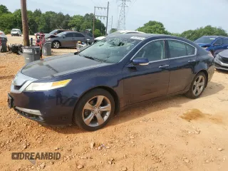 2009 Acura TL Technology z VIN 19UUA86549A009566, wystawiony jako Copart lot #54732455 z przebiegiem 248 257 mil mil oraz Szkoda całkowita • Salvage title. Historia ofert i sprzedaży dostępna na DreamBid. Obrazek 1.