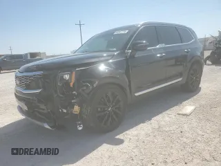 2020 Kia Telluride SX z VIN 5XYP5DHC5LG091982, wystawiony jako Copart lot #53347775 z przebiegiem 81 852 mil mil oraz Szkody całkowita. Historia ofert i sprzedaży dostępna na DreamBid. Obrazek 1.