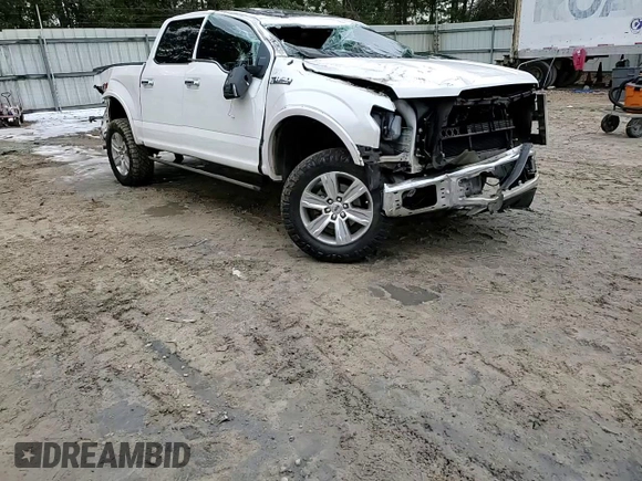 2016 Ford F-150 XLT with VIN 1FTEW1EF3GFB93890, listed as a Copart auction lot 89267065 with 205,235 mi miles and Non Repairable. Bid and sale history available at DreamBid. Image 13.