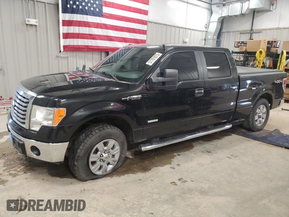 2011 Ford F-150 XLT with VIN 1FTFW1ET3BKE02555, listed as a Copart auction lot 51791675 with 206,065 mi miles and Salvage Title. Bid and sale history available at carsss.com. Image 1.