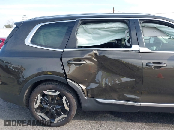 2024 Kia Telluride EX with VIN 5XYP34GC3RG521217, listed as a IAAI auction lot 41349510 with 3,798 mi miles and . Bid and sale history available at DreamBid. Image 17.